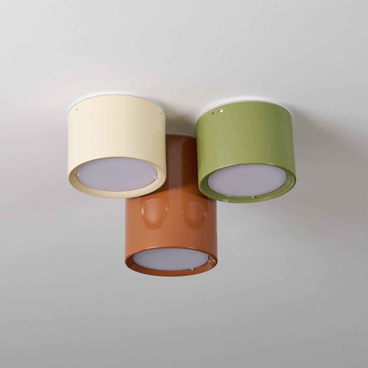 Aria Lampada da Soffitto Combinata Colorata