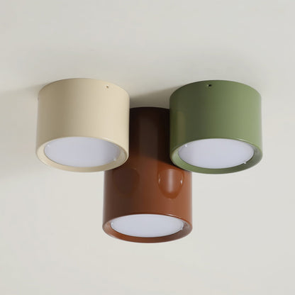 Aria Lampada da Soffitto Combinata Colorata